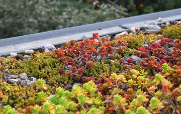 the cost of Kirby Grindalythe green roof installation