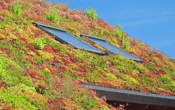Kirby Grindalythe living roof systems