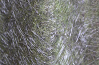 Kirby Grindalythe fibreglass roof work